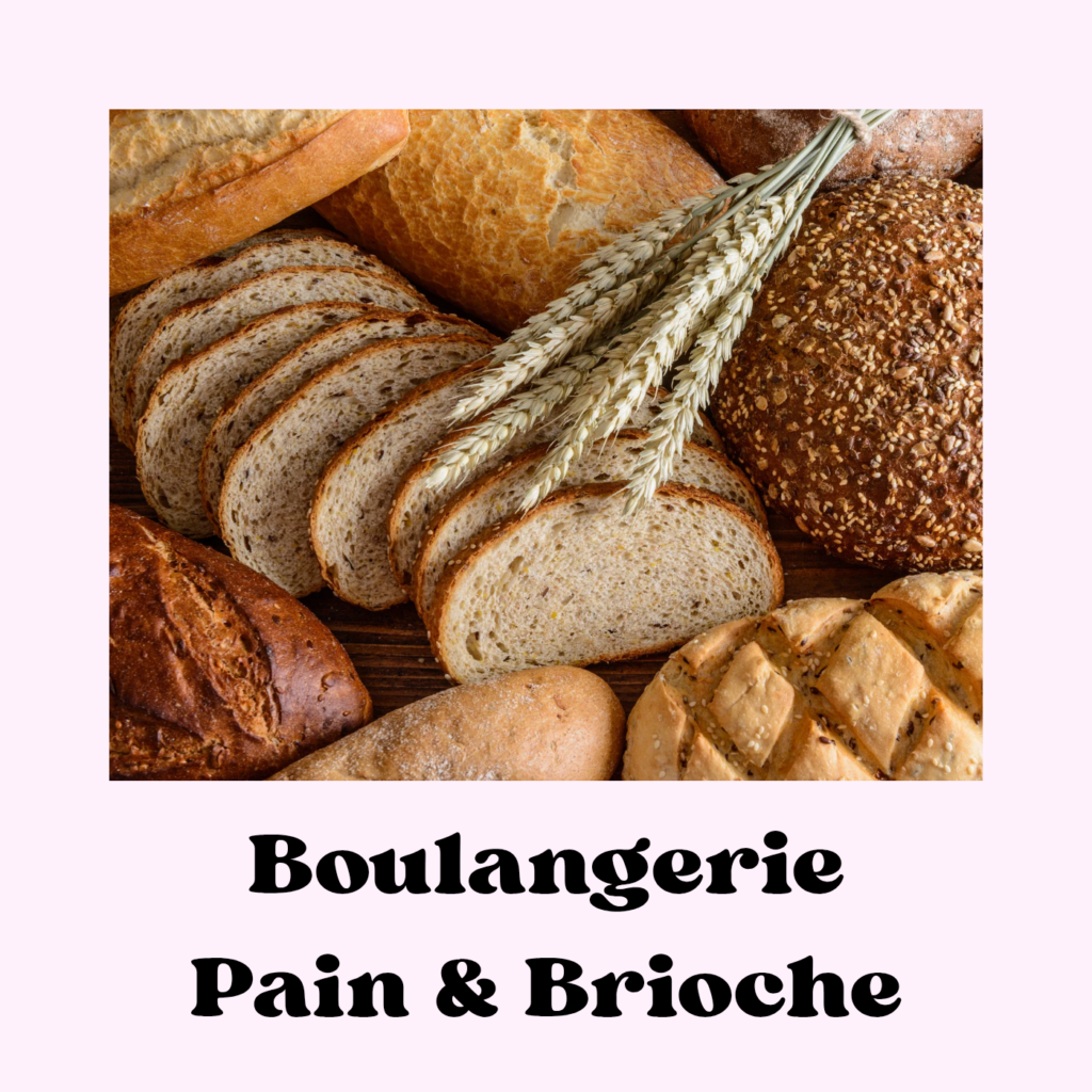 Recettes de pains, brioches et viennoiseries.